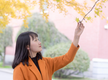 阿曼岛菲律宾旅游(阿曼岛旅游指南)